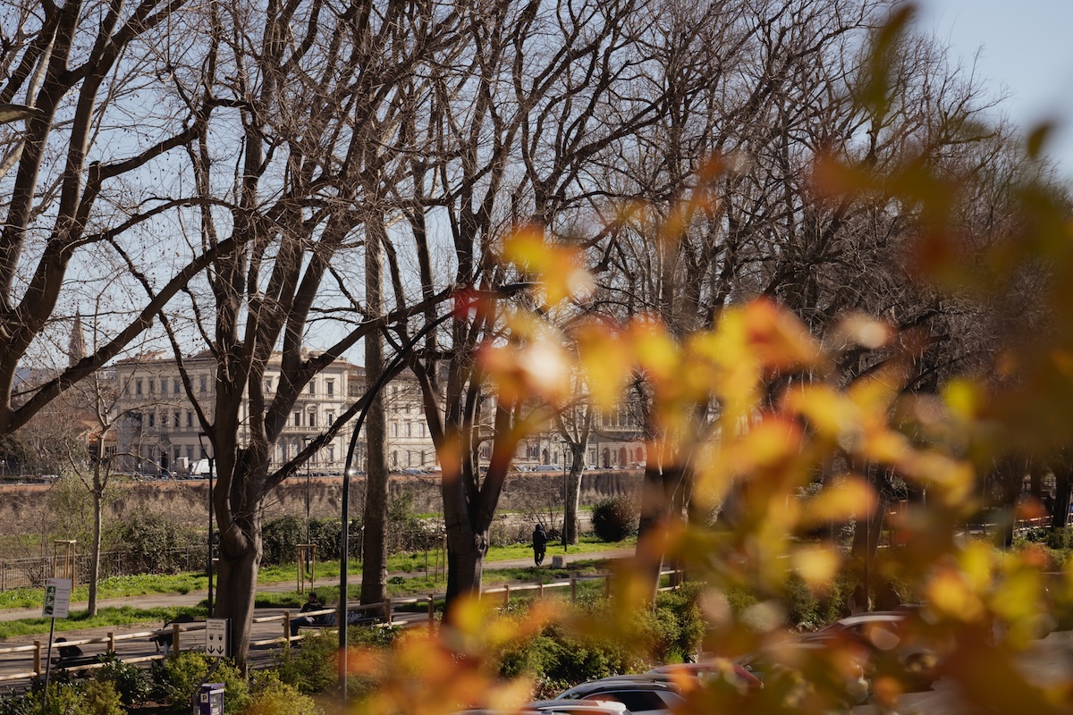 B&B La Fonderia Firenze - giardino